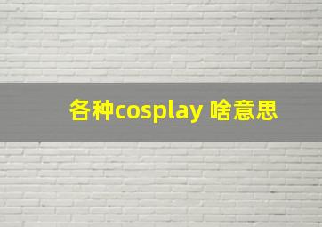 各种cosplay 啥意思